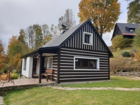 horská chata Cecilie, Olesnice V Orlickych Horach